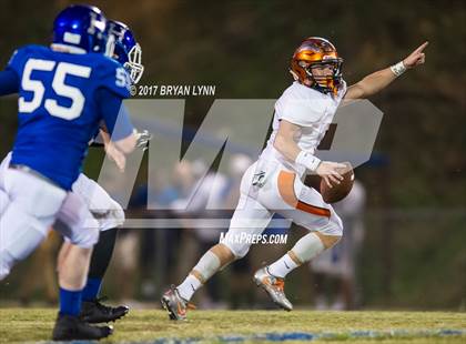 Thumbnail 2 in Greenback @ Harriman photogallery.