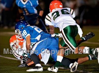 Thumbnail 3 in Poly @ Norco photogallery.