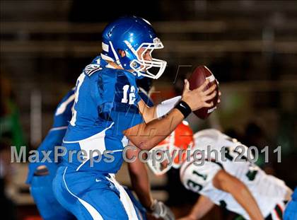 Thumbnail 2 in Poly @ Norco photogallery.