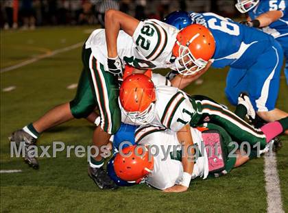Thumbnail 1 in Poly @ Norco photogallery.