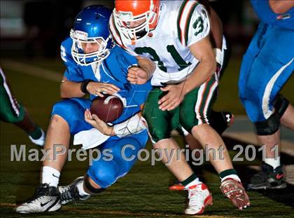 Thumbnail 1 in Poly @ Norco photogallery.
