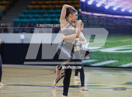 Thumbnail 1 in Cherokee Trail (CHSAA 5A State Spirit Championships) photogallery.