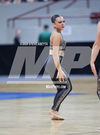 Thumbnail 3 in Cherokee Trail (CHSAA 5A State Spirit Championships) photogallery.