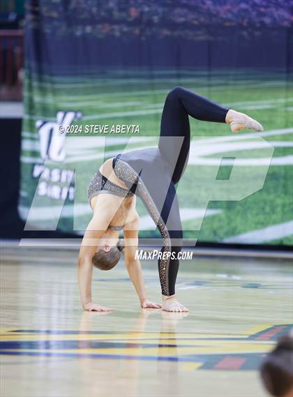 Thumbnail 1 in Cherokee Trail (CHSAA 5A State Spirit Championships) photogallery.