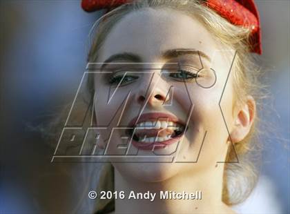 Thumbnail 1 in Bradley Central @ Cleveland photogallery.
