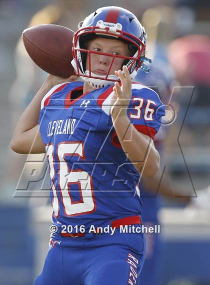 Thumbnail 3 in Bradley Central @ Cleveland photogallery.