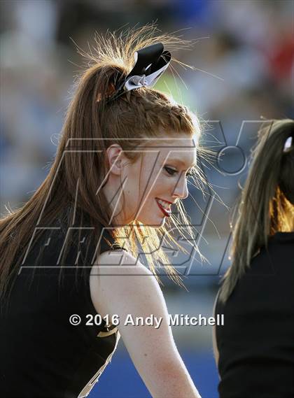 Thumbnail 3 in Bradley Central @ Cleveland photogallery.