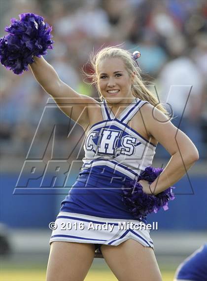 Thumbnail 1 in Bradley Central @ Cleveland photogallery.