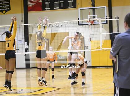Thumbnail 1 in Sullivan Central @ Chuckey-Doak photogallery.