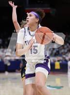 Photo from the gallery " Olmsted Falls vs Pickerington Central (OHSAA D1 State Semifinal)"