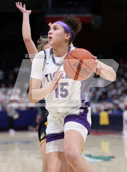 Thumbnail 1 in  Olmsted Falls vs Pickerington Central (OHSAA D1 State Semifinal) photogallery.