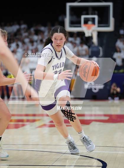 Thumbnail 1 in  Olmsted Falls vs Pickerington Central (OHSAA D1 State Semifinal) photogallery.