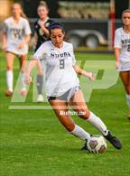 Photo from the gallery "Hough @ Pinecrest"