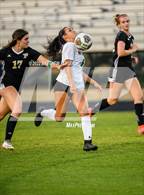 Photo from the gallery "Hough @ Pinecrest"