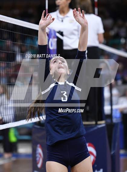 Thumbnail 1 in Evergreen vs. Ponderosa (CHSAA 4A Playoff) photogallery.