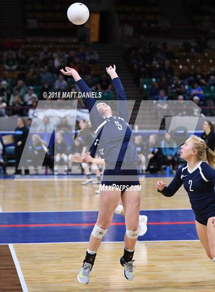 Thumbnail 1 in Evergreen vs. Ponderosa (CHSAA 4A Playoff) photogallery.