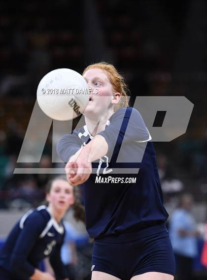 Thumbnail 3 in Evergreen vs. Ponderosa (CHSAA 4A Playoff) photogallery.
