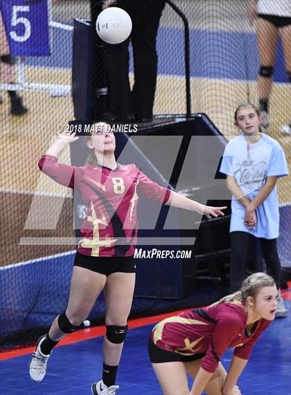 Thumbnail 1 in Evergreen vs. Ponderosa (CHSAA 4A Playoff) photogallery.
