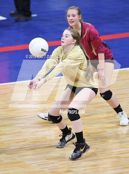 Thumbnail 1 in Evergreen vs. Ponderosa (CHSAA 4A Playoff) photogallery.