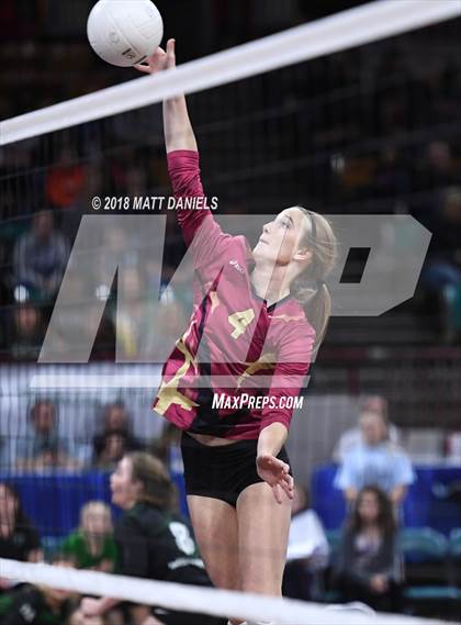 Thumbnail 3 in Evergreen vs. Ponderosa (CHSAA 4A Playoff) photogallery.