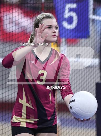 null - Photo 21
