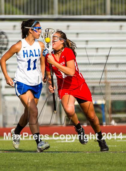 Thumbnail 2 in Hall vs Greenwich (CIAC Class L 1st Round) photogallery.