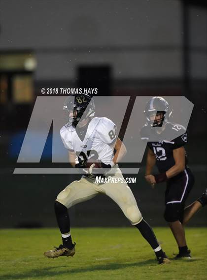 Thumbnail 1 in Palmer @ Millsap photogallery.