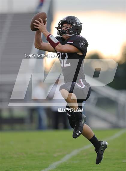 Thumbnail 1 in Palmer @ Millsap photogallery.