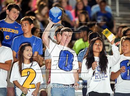 Thumbnail 2 in Nacogdoches @ Corsicana photogallery.