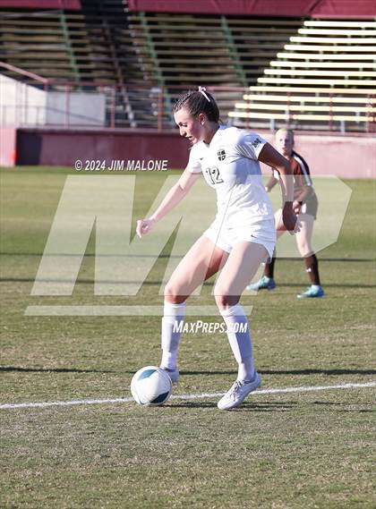 Thumbnail 3 in Archbishop Mitty vs. Saint Francis (CIFCCS D1 Championship) photogallery.