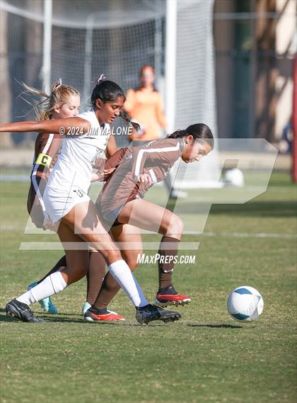 Thumbnail 1 in Archbishop Mitty vs. Saint Francis (CIFCCS D1 Championship) photogallery.