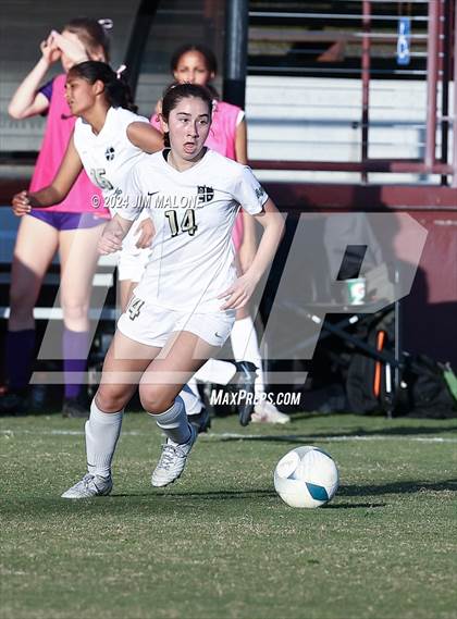 Thumbnail 2 in Archbishop Mitty vs. Saint Francis (CIFCCS D1 Championship) photogallery.