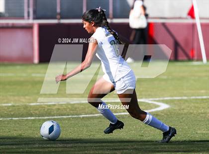 Thumbnail 2 in Archbishop Mitty vs. Saint Francis (CIFCCS D1 Championship) photogallery.