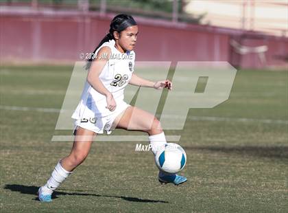 Thumbnail 2 in Archbishop Mitty vs. Saint Francis (CIFCCS D1 Championship) photogallery.