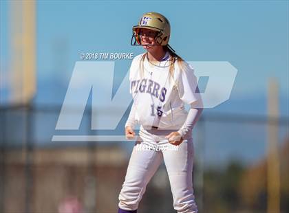Thumbnail 1 in Holy Family vs. Silver Creek (CHSAA 4A Semifinal) photogallery.