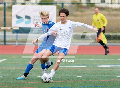 Thumbnail 2 in Tamalpais vs. Benicia (CIF NCS Division 3 Round 1) photogallery.