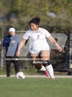 Photo from the gallery "Sonora @ Sunny Hills"