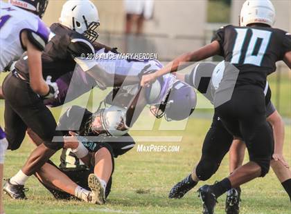 Thumbnail 3 in Hernando vs. Sunlake (Spring Game) photogallery.