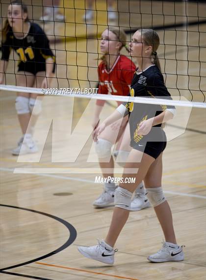 Thumbnail 1 in Brighton @ Honeoye Falls-Lima photogallery.