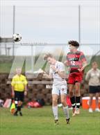 Photo from the gallery "Bemidji @ Detroit Lakes"