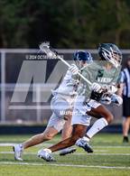 Photo from the gallery "Woodbridge @ Charles J. Colgan"