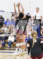 Photo from the gallery "Hamilton @ Xavier College Prep"