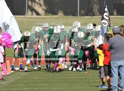 Thumbnail 1 in Hillsboro @ Benbrook photogallery.