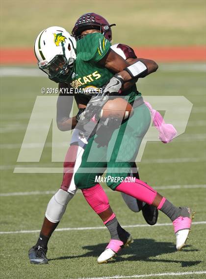 Thumbnail 3 in Hillsboro @ Benbrook photogallery.