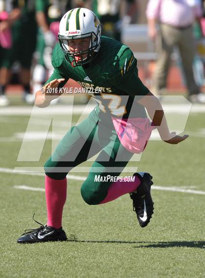 Thumbnail 2 in Hillsboro @ Benbrook photogallery.