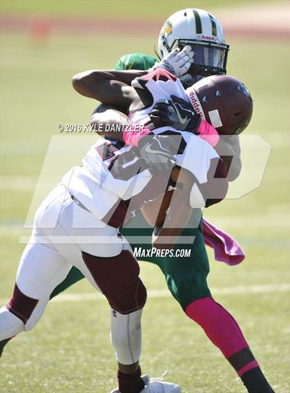 Thumbnail 3 in Hillsboro @ Benbrook photogallery.