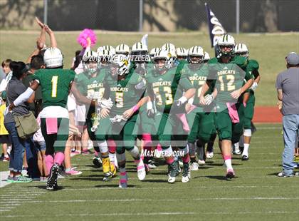 Thumbnail 3 in Hillsboro @ Benbrook photogallery.