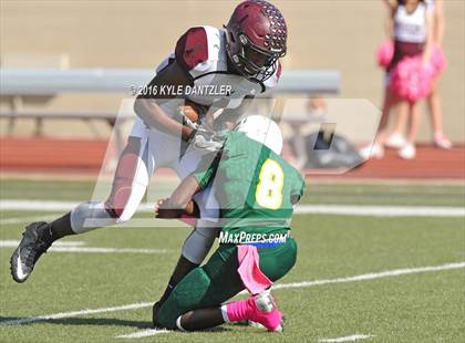 Thumbnail 3 in Hillsboro @ Benbrook photogallery.