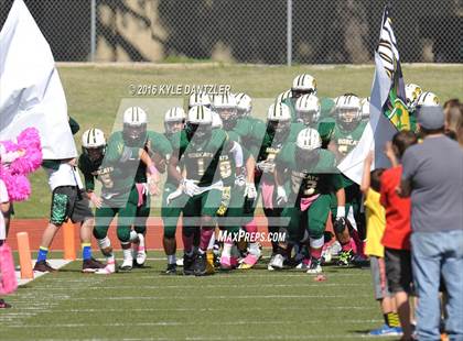 Thumbnail 3 in Hillsboro @ Benbrook photogallery.