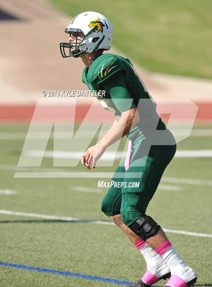 Thumbnail 3 in Hillsboro @ Benbrook photogallery.